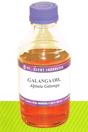 galanga oil